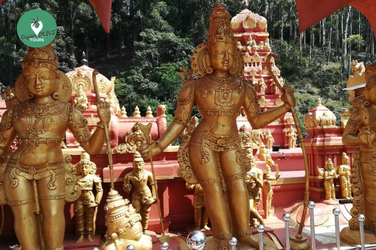 Kandy: Nuwara Eliya Tag Erkundung per Tuk Tuk mit ortskundigem Guide