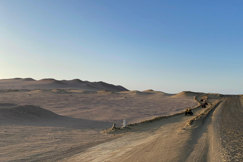 VISIT THE PARACAS NATIONAL RESERVE IN A MINI BUGGY