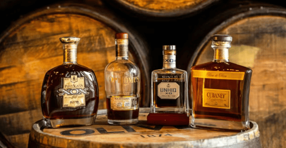 Private Punta Cana Premium Rum Tasting Experience