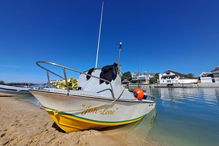 رحلات السفاري في المحيط وصيد الأسماك في خليج سانت فرانسيس