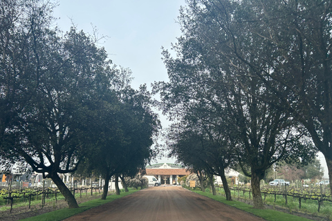 Casablanca | Wine tasting tour