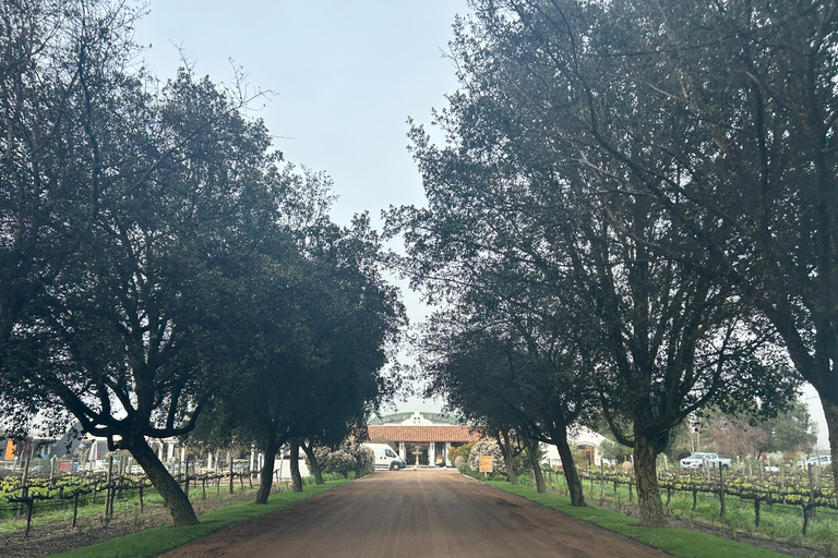 Casablanca | Wine tasting tour