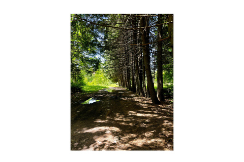 Montagna di Rila, PICCOLO GRUPPO, tour da SofiaTour a piedi del monte Rila da Sofia