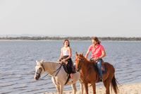 Privat Reiten +Picknick am Strand - Housity