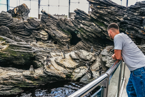 Lisboa: ticket de entrada para el Oceanário