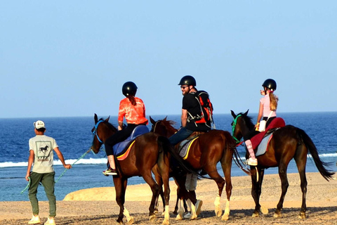 Marsa Alam: Zonsopgang te paard met ontbijtPaardrijtocht van 2 uur, zonder zwemstop