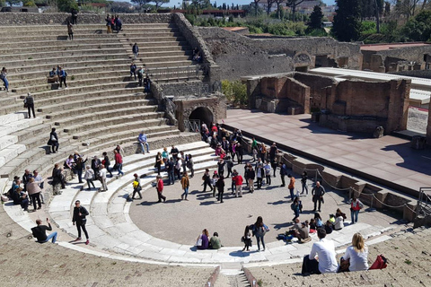 Från Rom: Dagsutflykt till Pompei