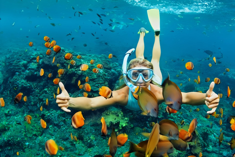 Visita às ilhas Cham e mergulho com snorkel e autônomoExcursão em grupo