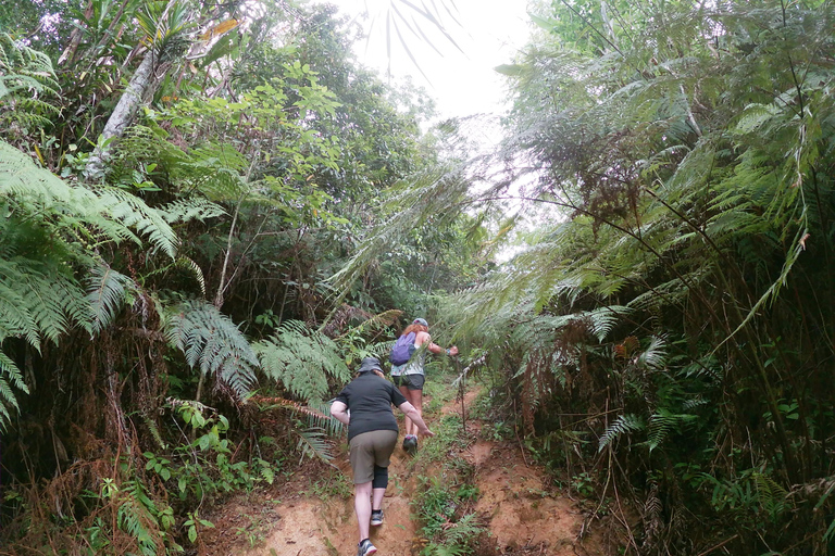 Nadi: Przygoda z wędrówką w małej grupie po ukrytych szczytachUkryte szczyty – przygoda dla małych grup miłośników wędrówek