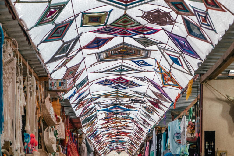 La Paz: Todos Santos Day Trip