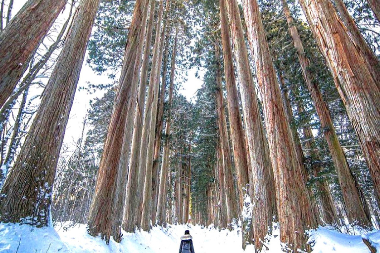 From Tokyo: Nagano Day Trip with Snow Monkey Park