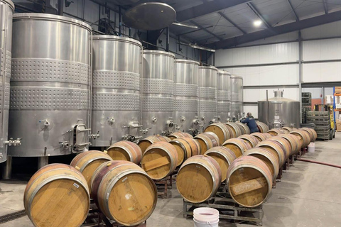 From Santiago: Casa Fevre Tour with Wine Tasting