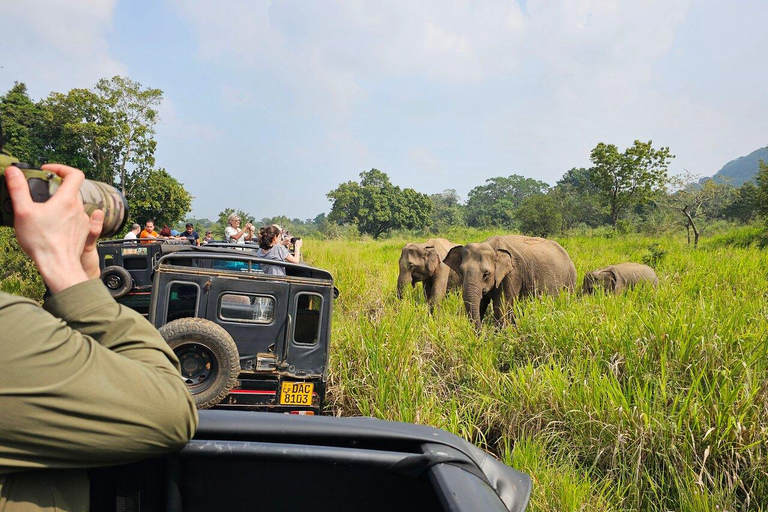 Minneriya: Night Safari with BBQ Dinner & Sri Lanka Cocktail Minneriya/Yala: Night Safari with BBQ Dinner & Cocktail