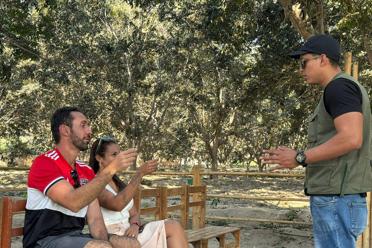 From Lima: Full Day Private All Inclusive Paracas, Ica.