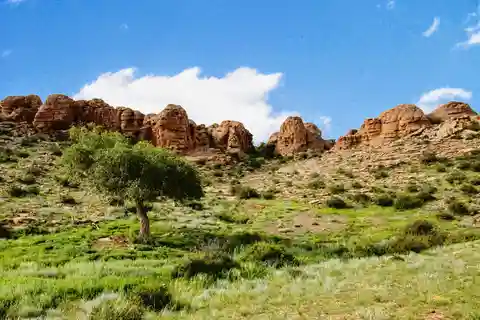 Great Gobi to Khuvsgul Lake 16 Days Tour