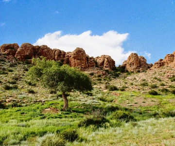 Great Gobi to Khuvsgul Lake 16 Days Tour