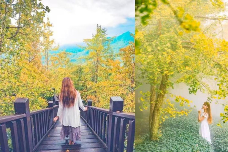 Taipei: 5-Day Tour of Taiwan’s Highlights