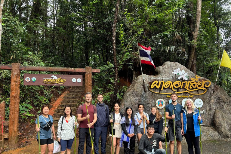 Chiang Mai: Doi Inthanon Pha Dok Siew Trek & Karen Culture