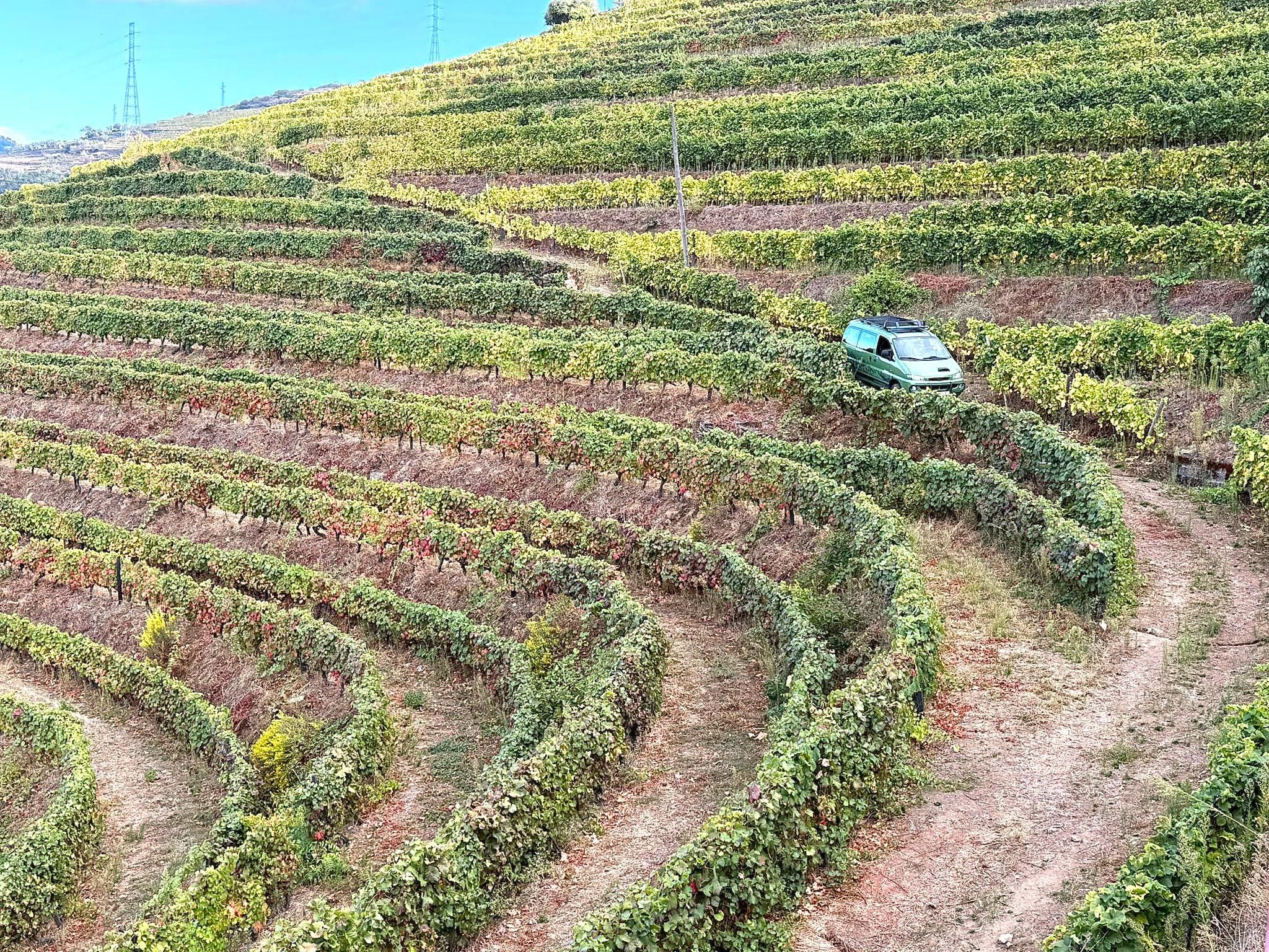 Douro 4x4 – mit Weinprobe, Mittagessen und Bootsfahrt – Private Tour