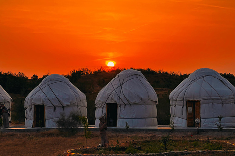 From Bukhara/Samarkand: 2-Day Aydarkul Lake & Yurt Camp Tour Private tour to Aydar Lake & Yurt from Bukhara to samarkand