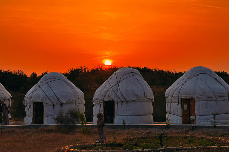 From Bukhara/Samarkand: 2-Day Aydarkul Lake & Yurt Camp Tour Private tour to Aydar Lake & Yurt from Bukhara to samarkand