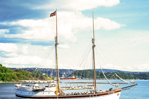 Fiordy w Oslo: 2-godzinny rejs wycieczkowy