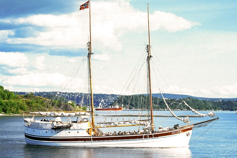 Crucero de 2 horas por los fiordos de Oslo