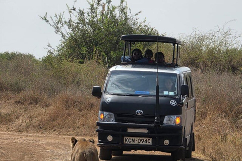 Nairobi National Park&Elephant Orphanage&Giraffe Centre Tour