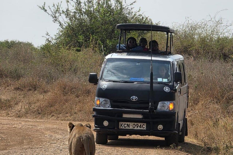 Nairobi National Park&Elephant Orphanage&Giraffe Centre Tour
