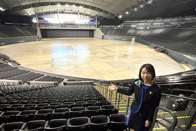 Sapporo: Dome Tour with Observation Deck Entry