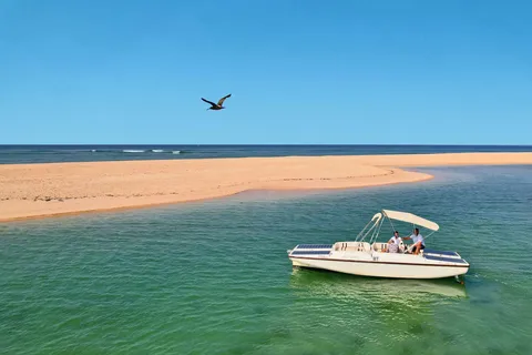 Faro: Passeio de barco para observação de aves na Ria Formosa