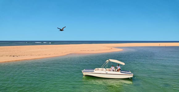 Faro: Ria Formosa Eco Birdwatching Boat Tour