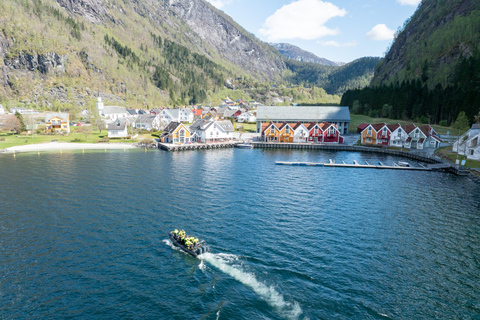 Bergen: Modalen RIB Fjord Safari with Lunch & Transfer