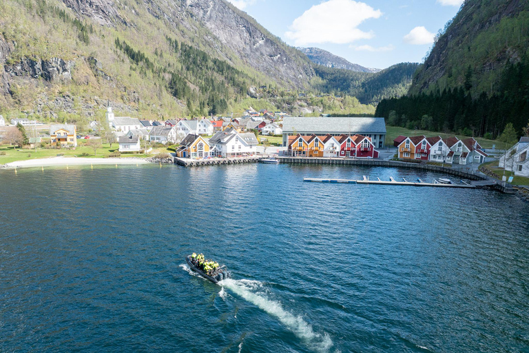 Bergen: Modalen RIB Fjord Safari with Lunch & Transfer