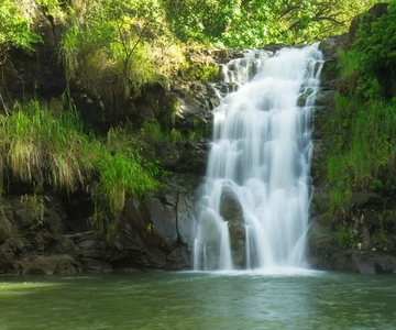 Oahu: Complete Island Tour with Tropical Waterfall Swimming