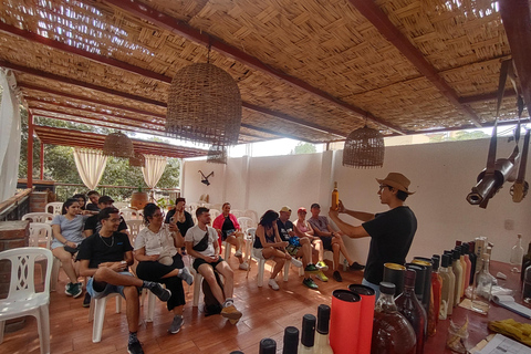 Vanuit Lima: 2 Dagen Nazca Lijnen, Paracas Ica HuacachinaVANUIT LIMA: Paracas Ica Huacachina Nazca 2D/1N