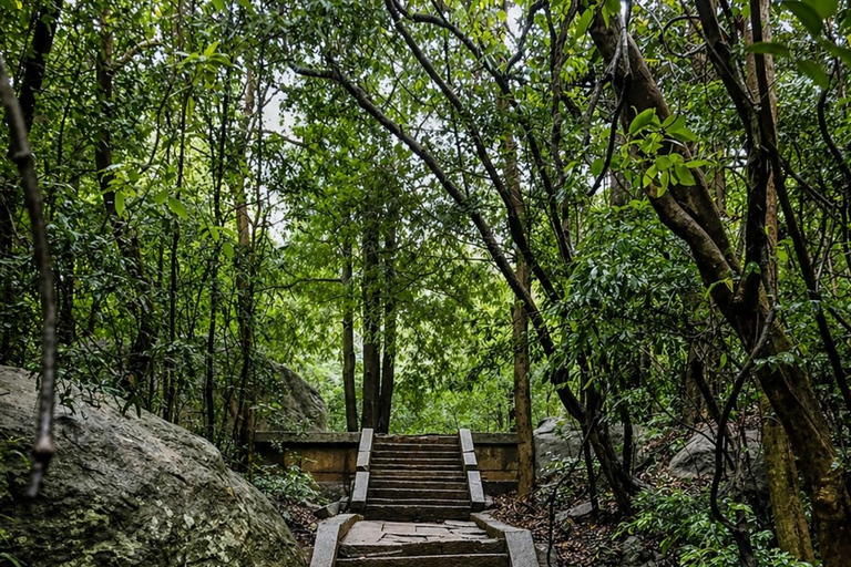 Sigiriya: Ritigala Hike, Village Tour, and Cooking Class Sigiriya : Ritigala Hike & Village Tour with Cooking & Lunch