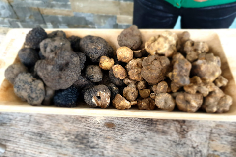 Caccia al tartufo e gemme istriane: Escursione di un giorno a Montona e Abbazia