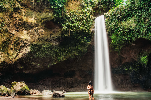 Ubud: tour de las epectaculares cascadasTour de cascadas con arrozal y columpio en la selva