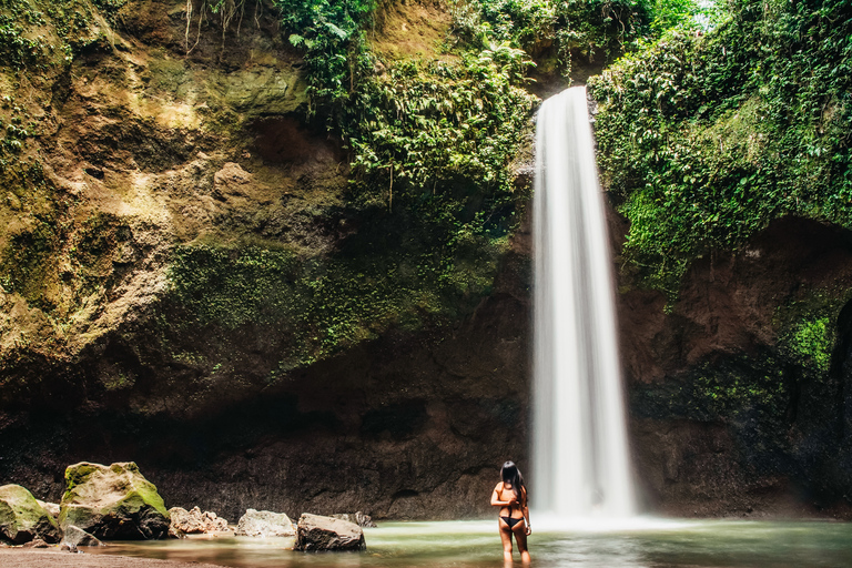 Ubud: tour de las epectaculares cascadasTour de cascadas con arrozal y columpio en la selva