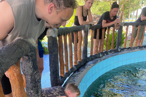 Khao Lak: Jungle River Rafting & Conservation Visit + Pickup