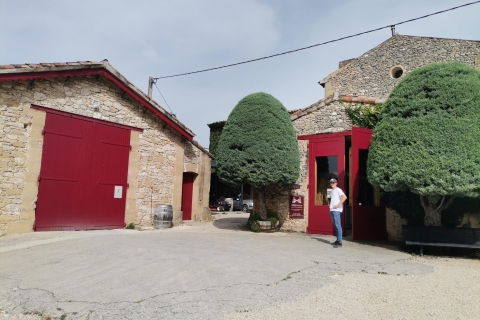 Au départ de Marseille : Visite des vignobles avec dégustations de vins