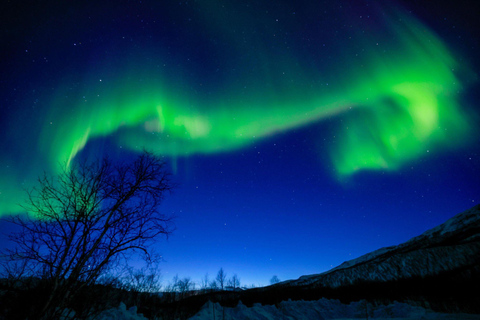 Tromsø: Tour dell&#039;aurora boreale con fotografia (cinese)