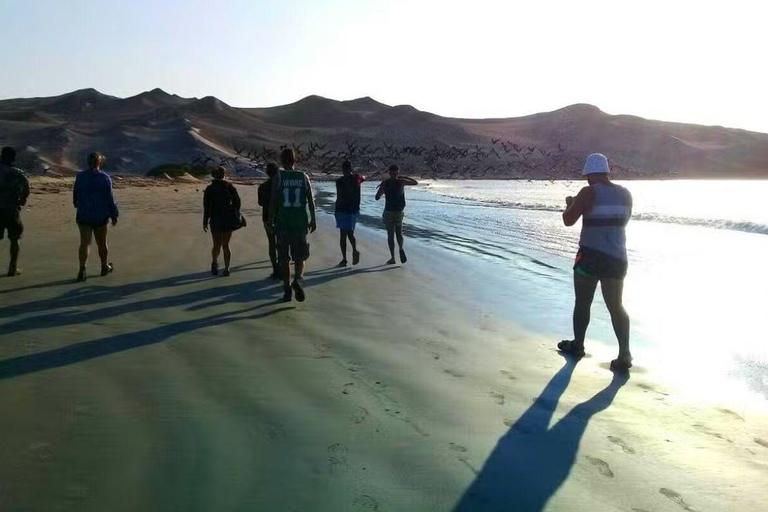From Lima: Paracas Reserve & Nazca Lines Flight from Pisco