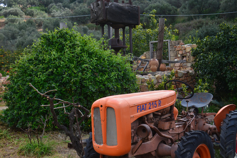 Crete: Wine & Olive Oil Tasting & Historic Villages Tour