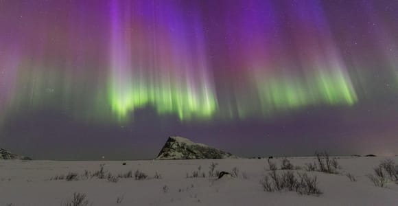 Lofoten: Northern Lights Tour with Photographer