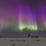 Lofoten: Nordlichter-Tour mit Fotograf