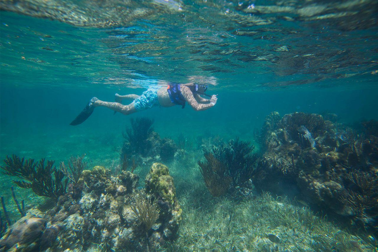 Cancun: Snorkeling Tour z odbiorem z hotelu