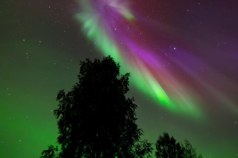 Aurora Hunt with Money-Back Guarantee + Photo and Video Aurora Hunt with Money-Back Guarantee