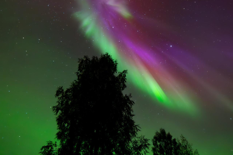 Aurora Hunt with Money-Back Guarantee + Photo and Video Aurora Hunt with Money-Back Guarantee